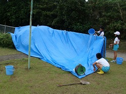 DSC09944.jpg