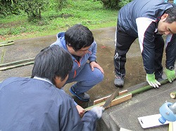 IMG_2347.jpg