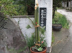 IMG_2355.jpg