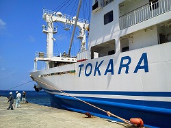 NEC_0139.jpg