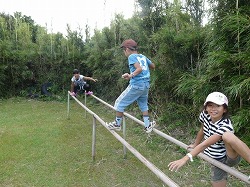 P1170123.jpg