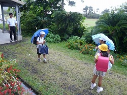 P1170410.jpg