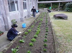 P1210480.jpg