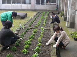 P1210637.jpg