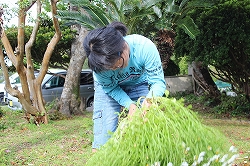 r-r-IMG_1795.jpg