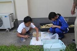 R８悪石島学園職員-筍採り-77724743804.jpg