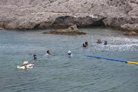 IMG_8460.JPG