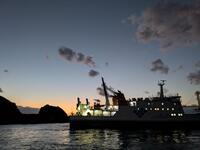 shared image (21).jpg