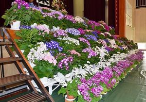 020306(18).JPG