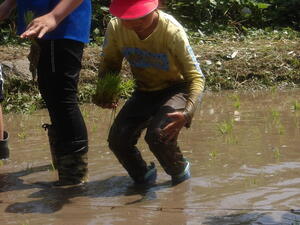 IMGP1464.JPG