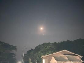 IMG_1587.jpg