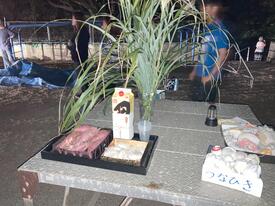 IMG_1604.jpg