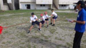 RIMG1745.JPG