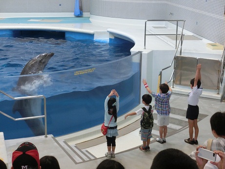 ブログ用・水族館.JPG