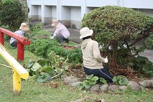 愛校作業0926 花壇.jpg