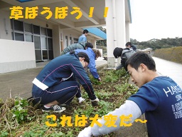 花いっぱい運動0130 ３.jpg