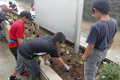 花壇の花植え　ブログ用.JPG