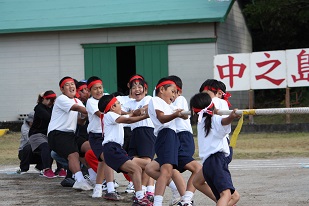 運動会2014　綱引き.jpg