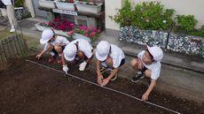 0511ひまわり・ポーチュラカ植え③.jpg