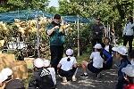IMG_4186-1.jpg