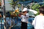 IMG_4247-1.jpg