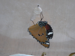 DSC09637.JPG