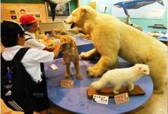 博物館の展示内容 シロクマなど.jpg