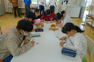 DSC07077.JPG