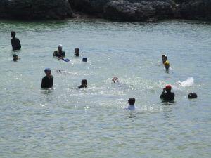 IMG_5562 burogu.JPG